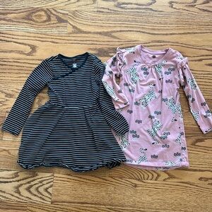 Tea collection cotton dresses